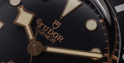 ferr9 da stiro tudor|Of Royalty And Shields: Introducing Tudor And Their Top Watches.